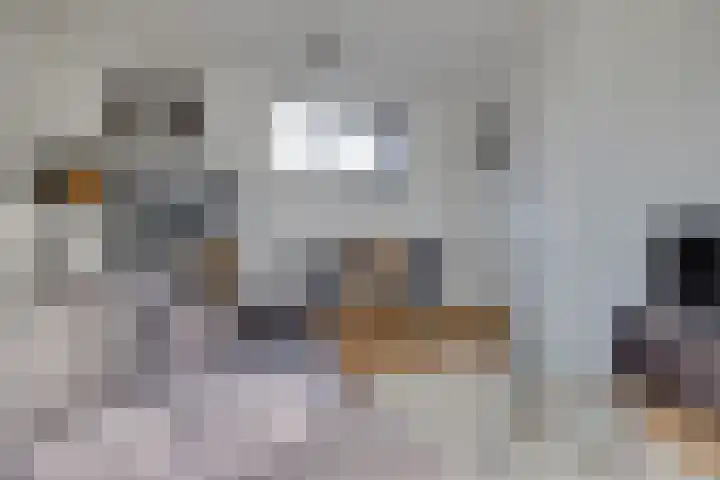 Schaperstraat 9 Utrecht thumbnail 14
