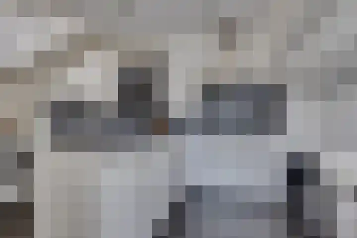 Schaperstraat 9 Utrecht thumbnail 5