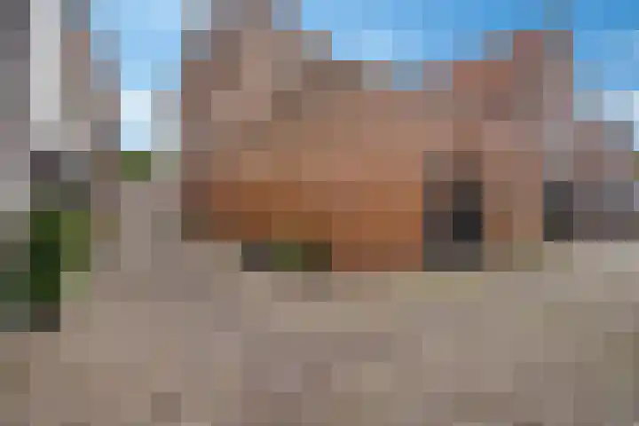 Schapesteeg 13 Elburg thumbnail 27