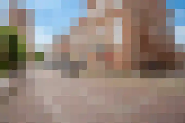 Schapesteeg 13 Elburg thumbnail 28