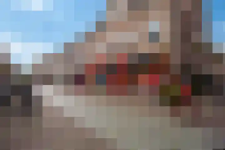 Schapesteeg 13 Elburg thumbnail 31