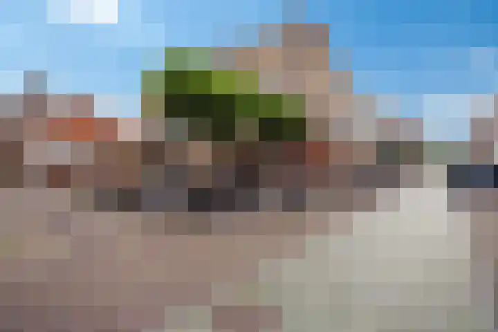 Schapesteeg 13 Elburg thumbnail 32