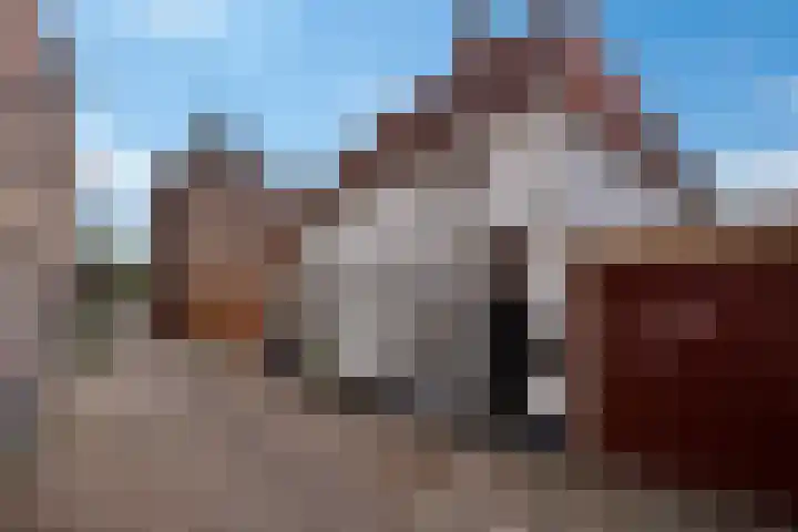 Schapesteeg 13 Elburg thumbnail 34