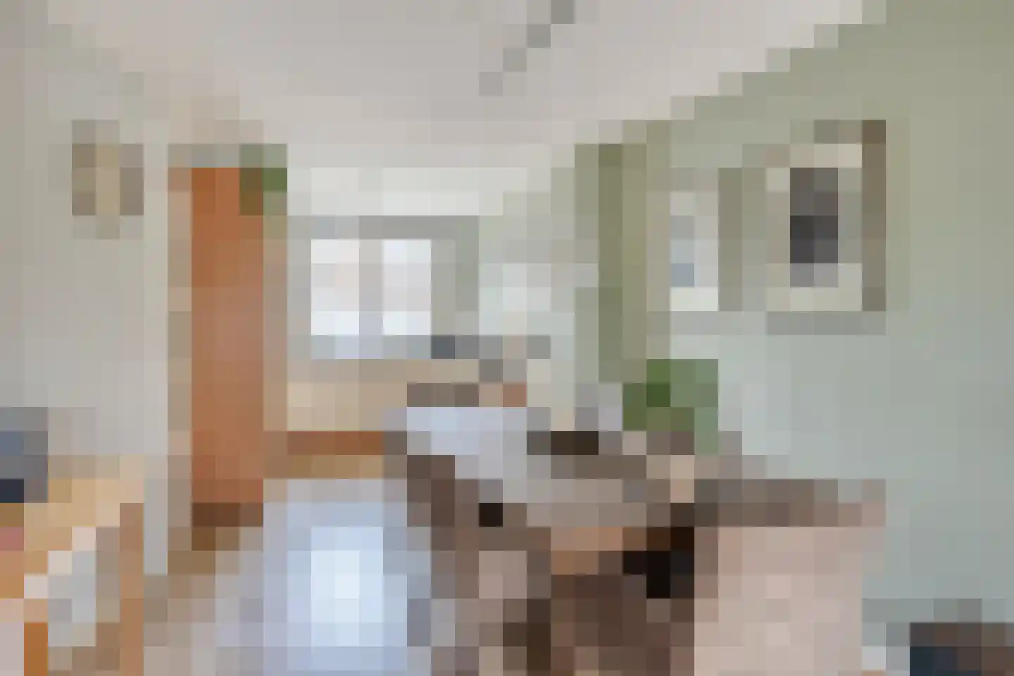 Schapeweide 16 Veghel thumbnail 10