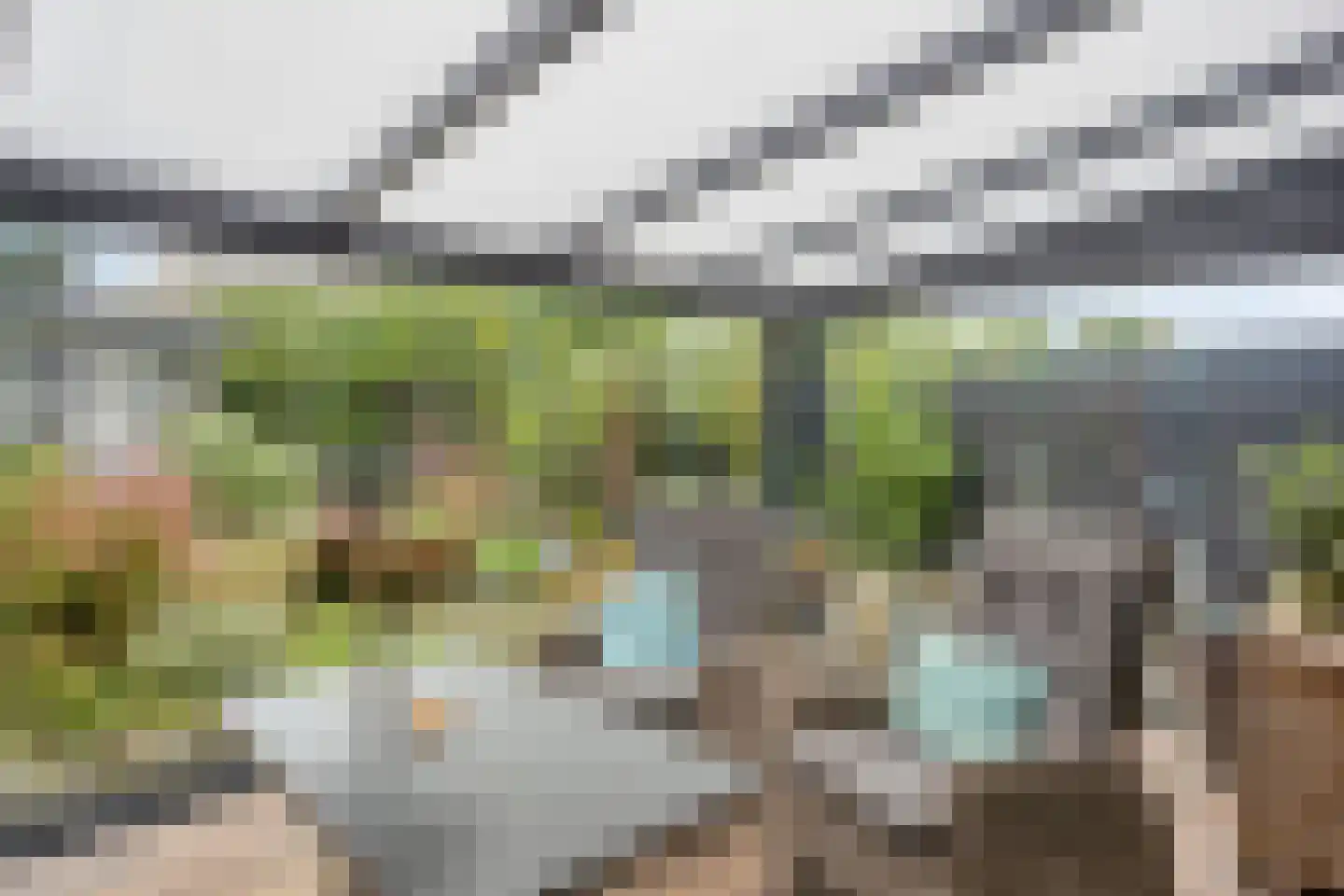 Schapeweide 16 Veghel thumbnail 16