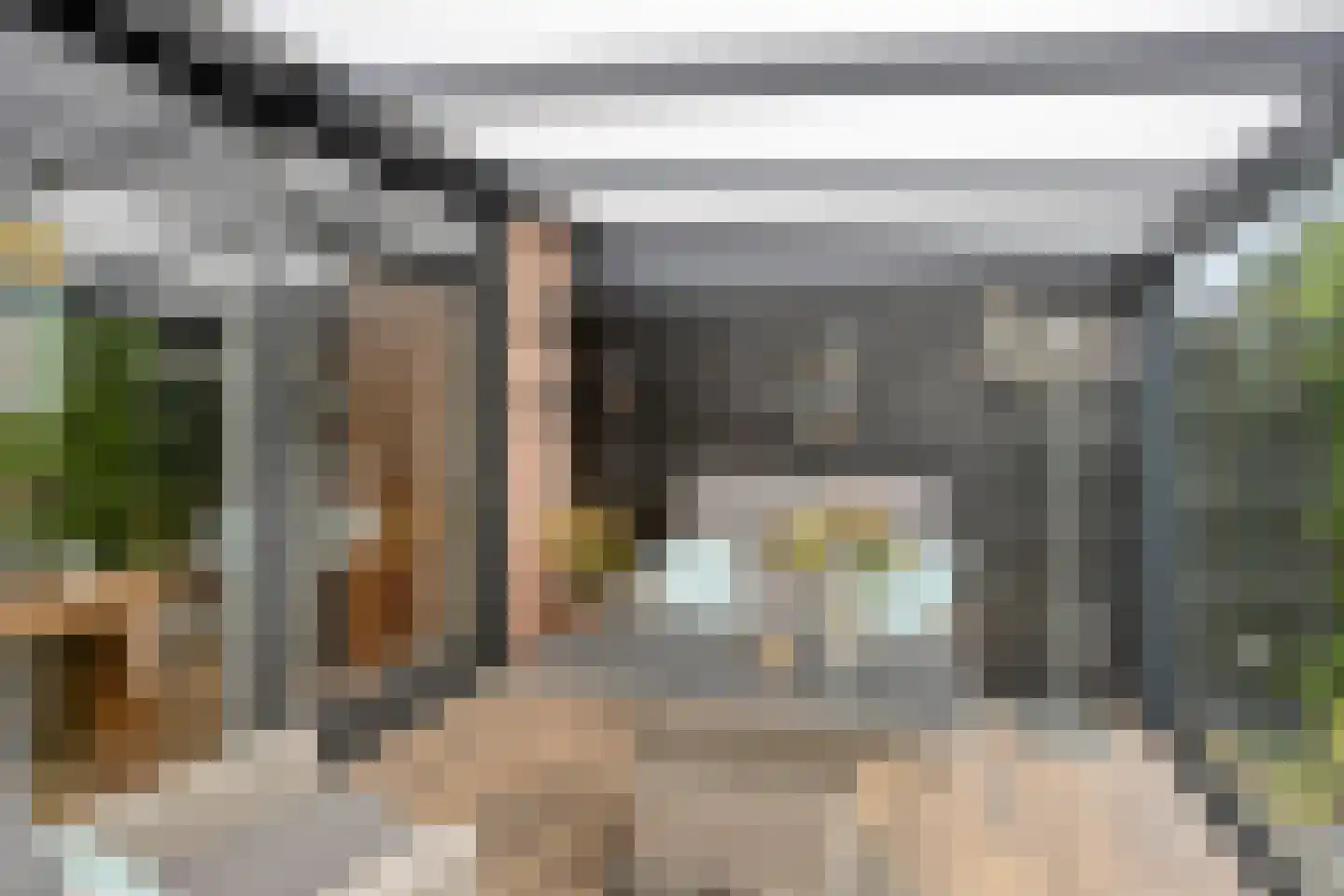 Schapeweide 16 Veghel thumbnail 17