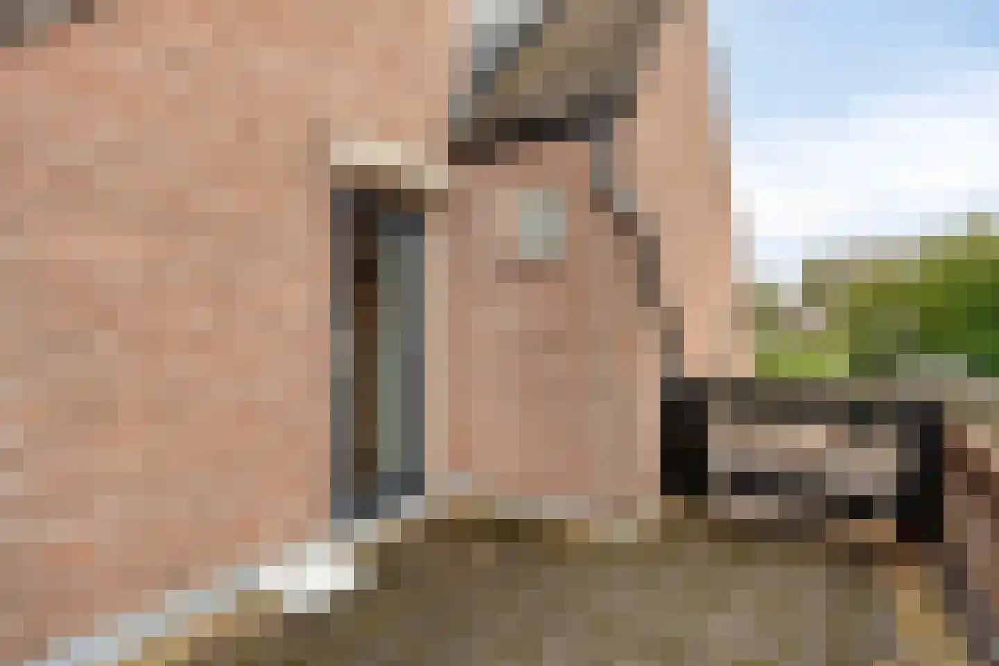 Schapeweide 16 Veghel thumbnail 21