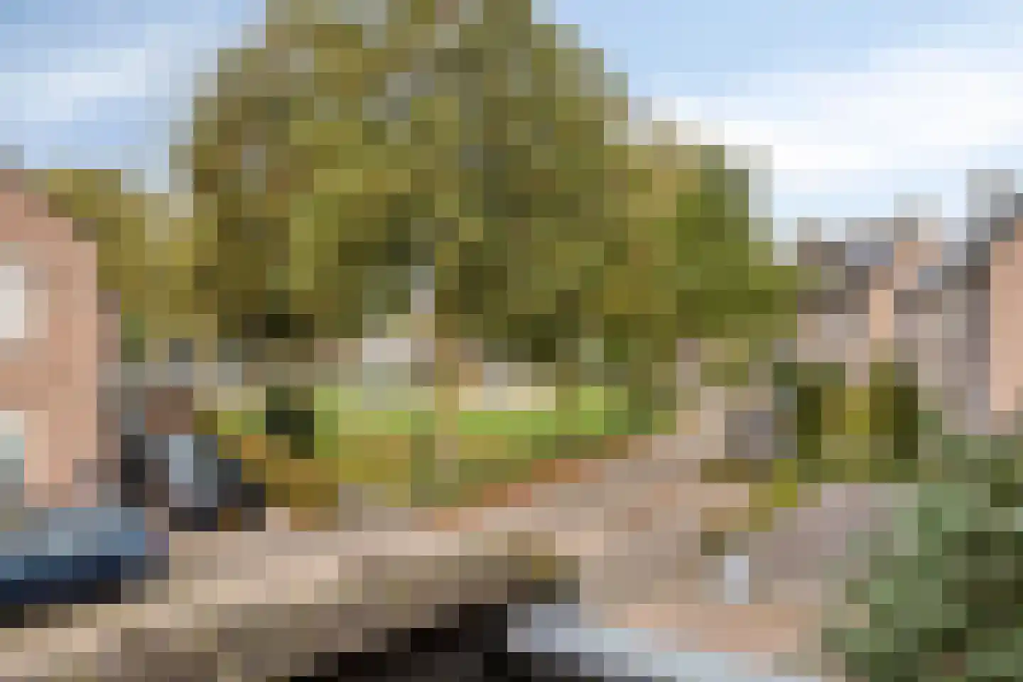 Schapeweide 16 Veghel thumbnail 22