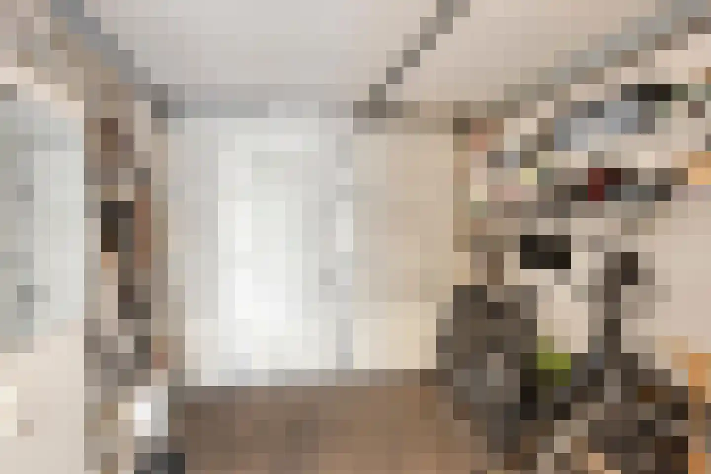 Schapeweide 16 Veghel thumbnail 31
