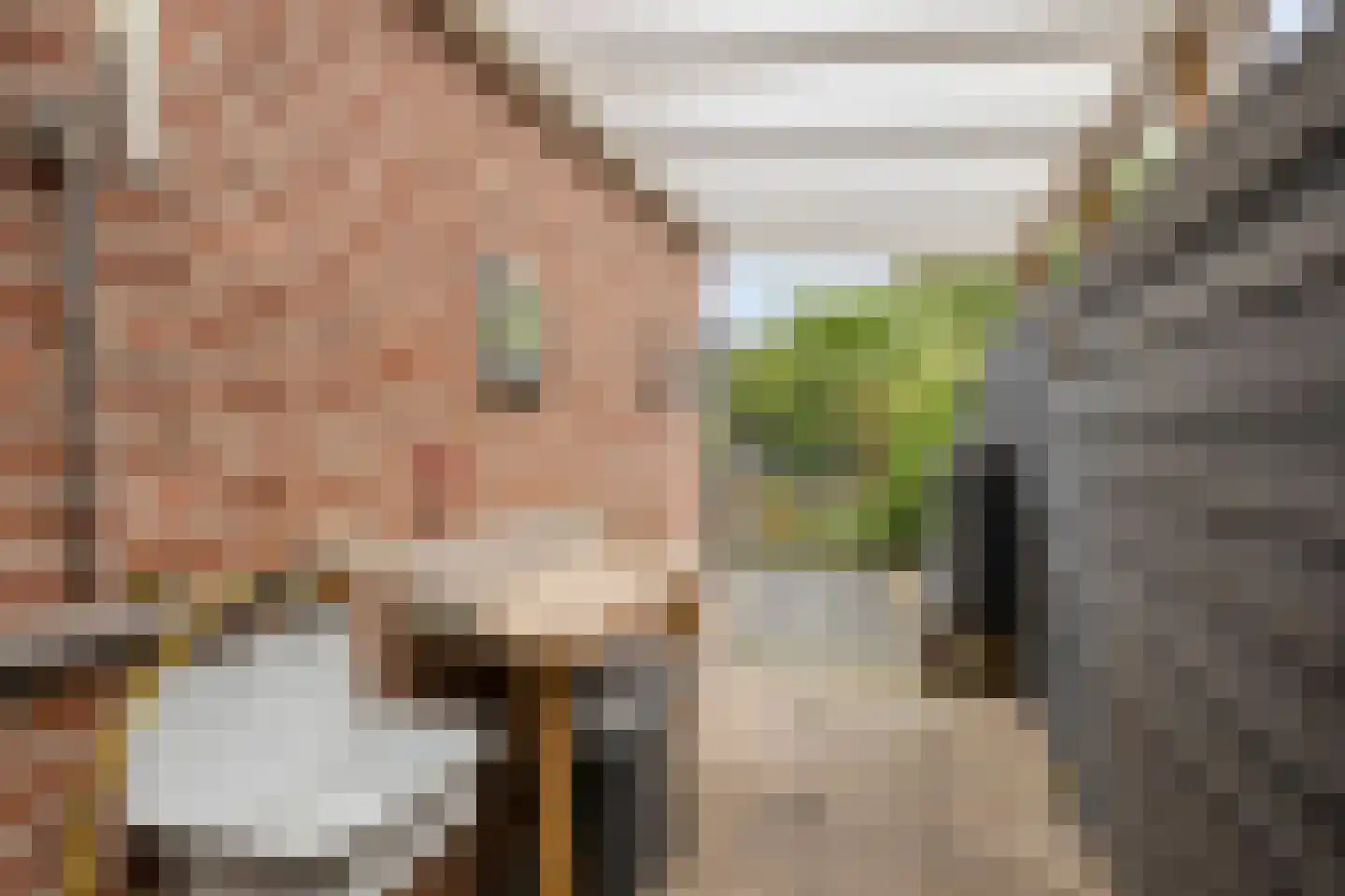 Schapeweide 16 Veghel thumbnail 33