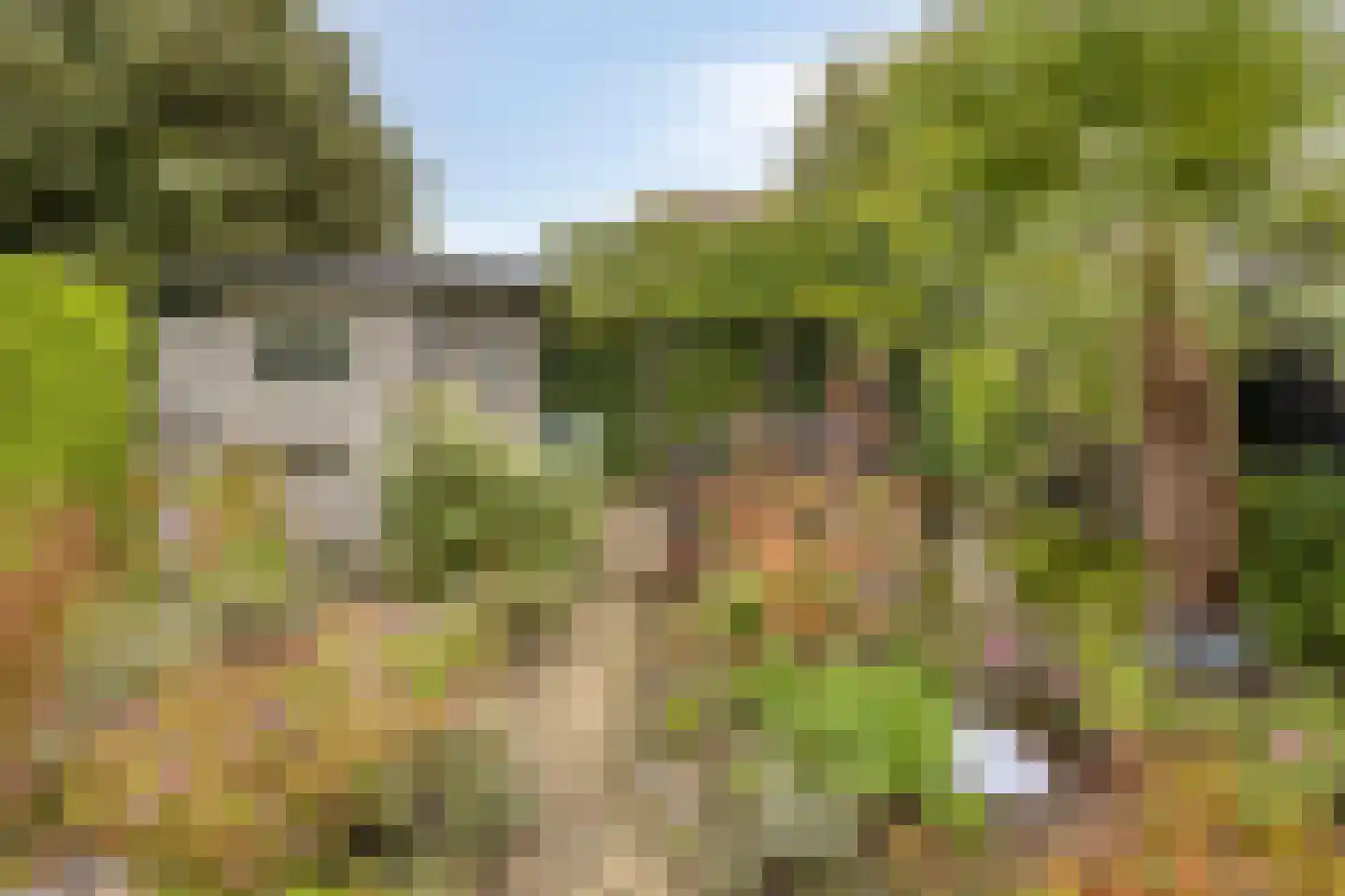 Schapeweide 16 Veghel thumbnail 34