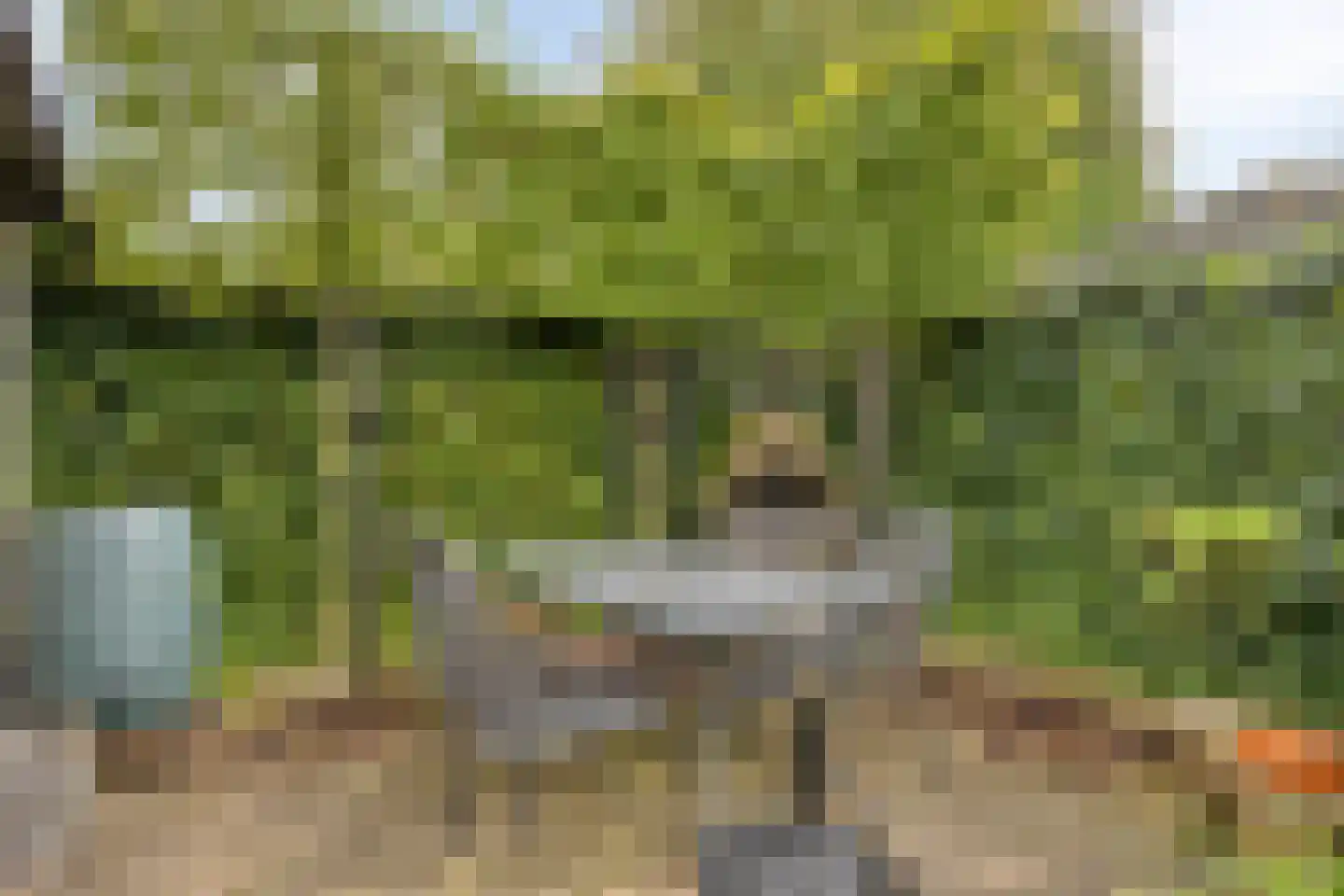 Schapeweide 16 Veghel thumbnail 35