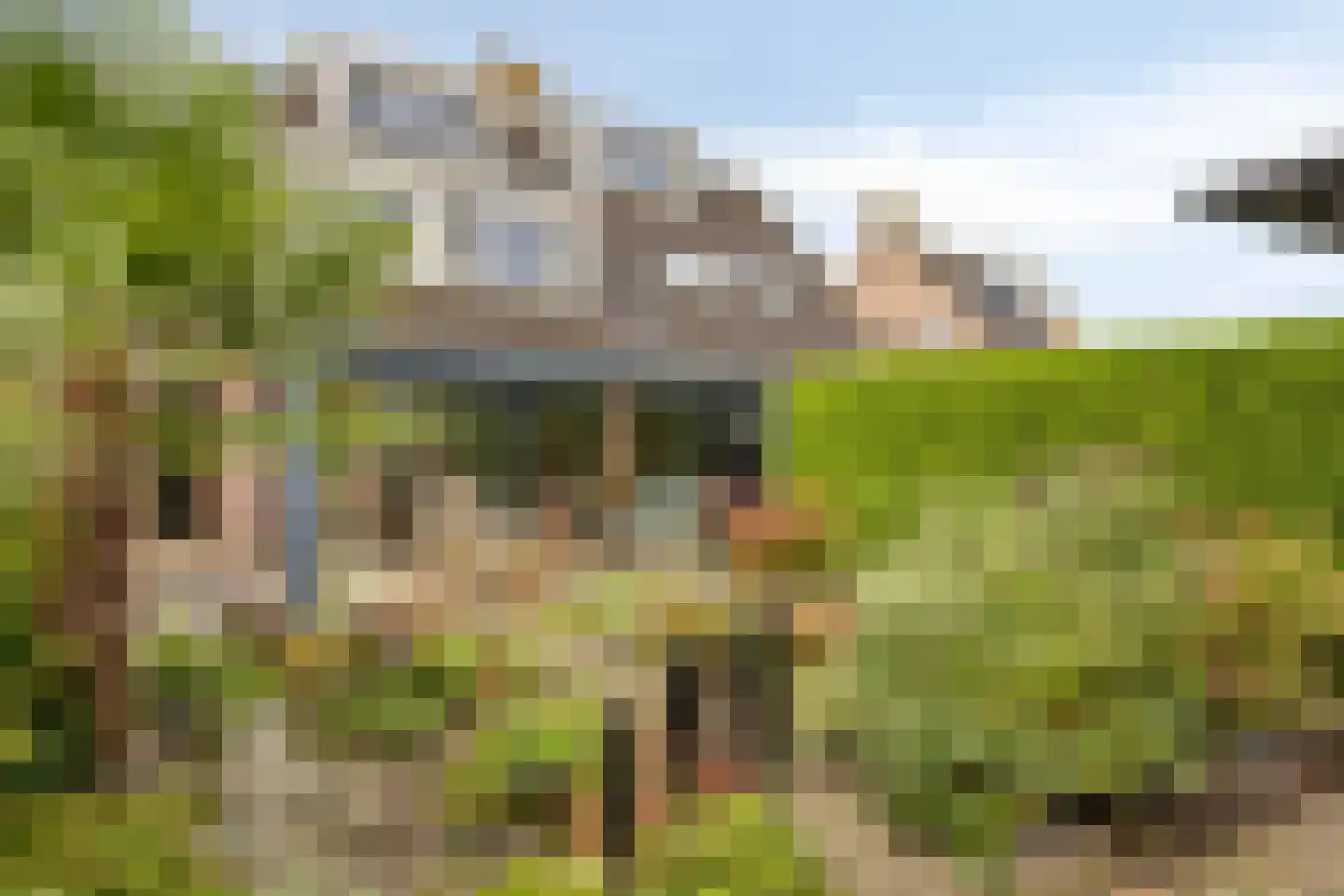 Schapeweide 16 Veghel thumbnail 37
