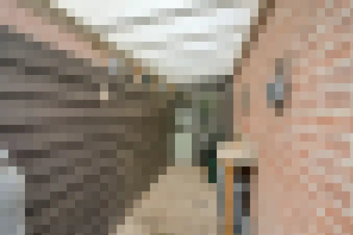 Schapeweide 16 Veghel thumbnail 38