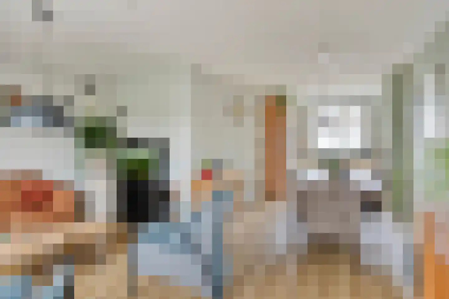Schapeweide 16 Veghel thumbnail 8
