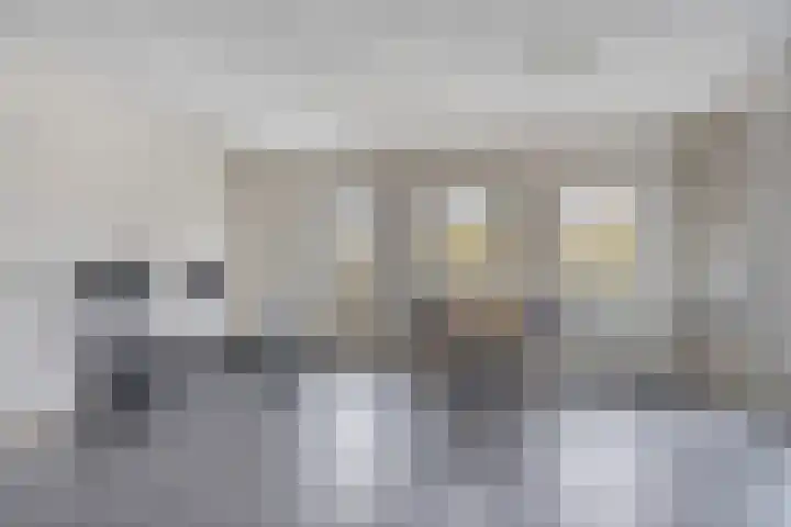 Schapeweide 23 Veghel thumbnail 18