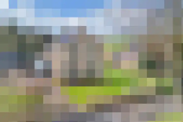 Schapeweide 23 Veghel thumbnail 20