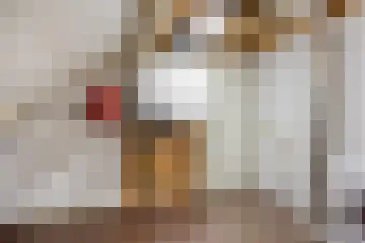 Schapeweide 23 Veghel thumbnail 40