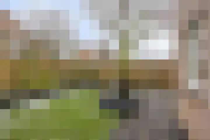 Schapeweide 23 Veghel thumbnail 45