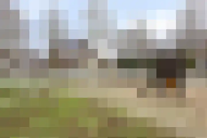 Schapeweide 23 Veghel thumbnail 48