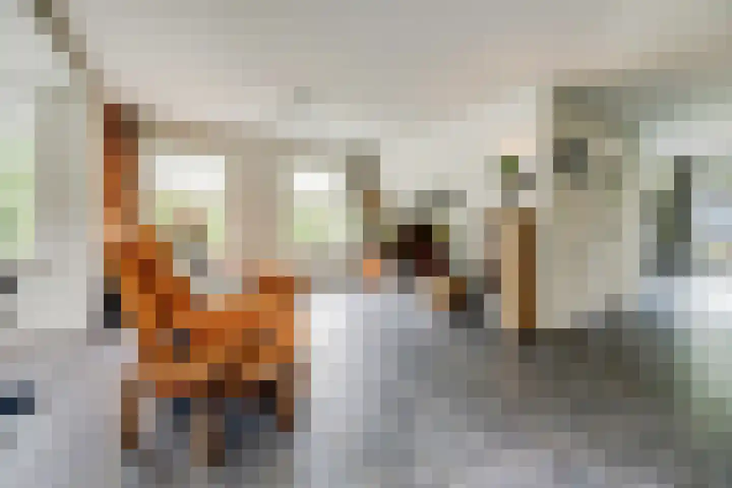 Schapeweide 41 Veghel thumbnail 24