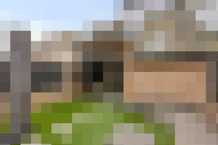 Schapeweide 41 Veghel thumbnail 34