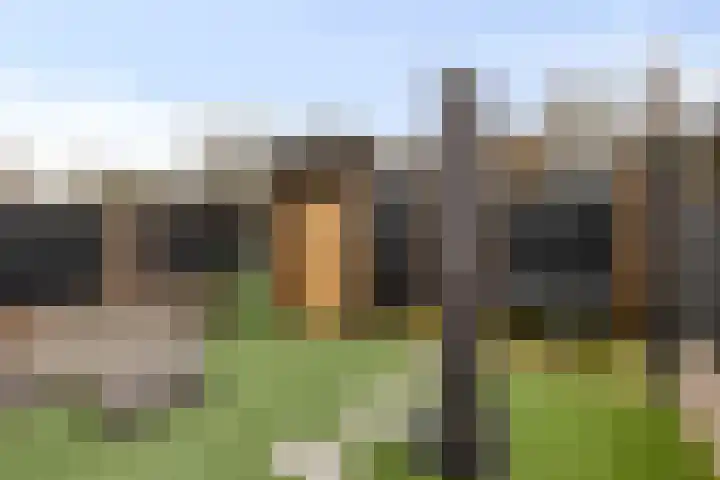 Schapeweide 41 Veghel thumbnail 35