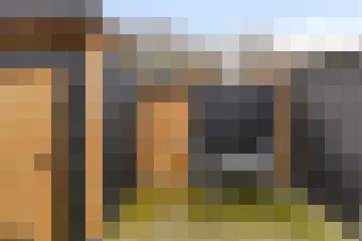 Schapeweide 41 Veghel thumbnail 36