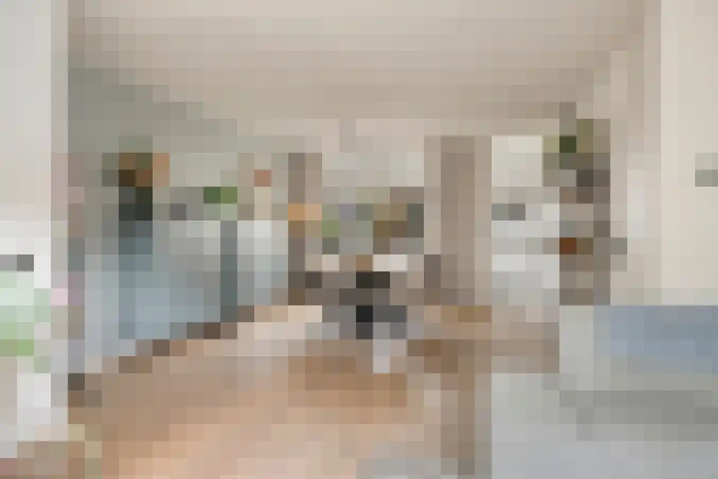 Schapeweide 60 Veghel thumbnail 11