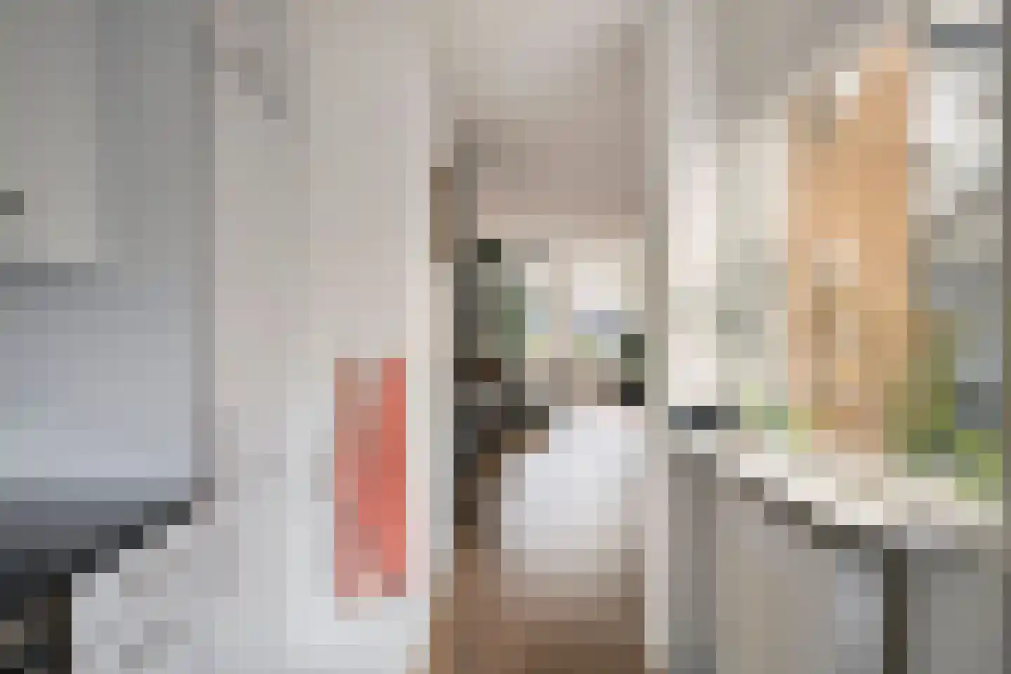 Schapeweide 60 Veghel thumbnail 18