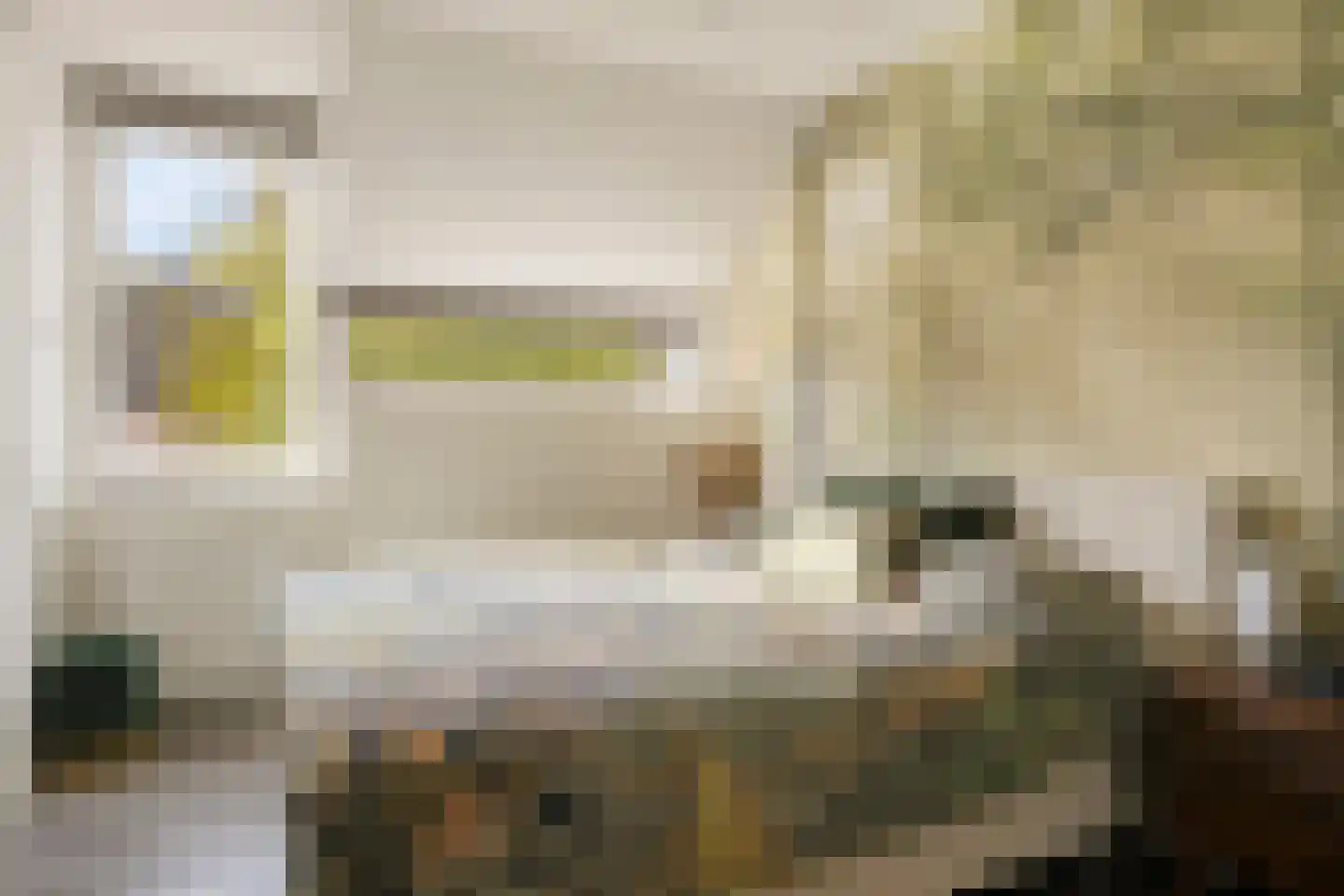 Schapeweide 60 Veghel thumbnail 21