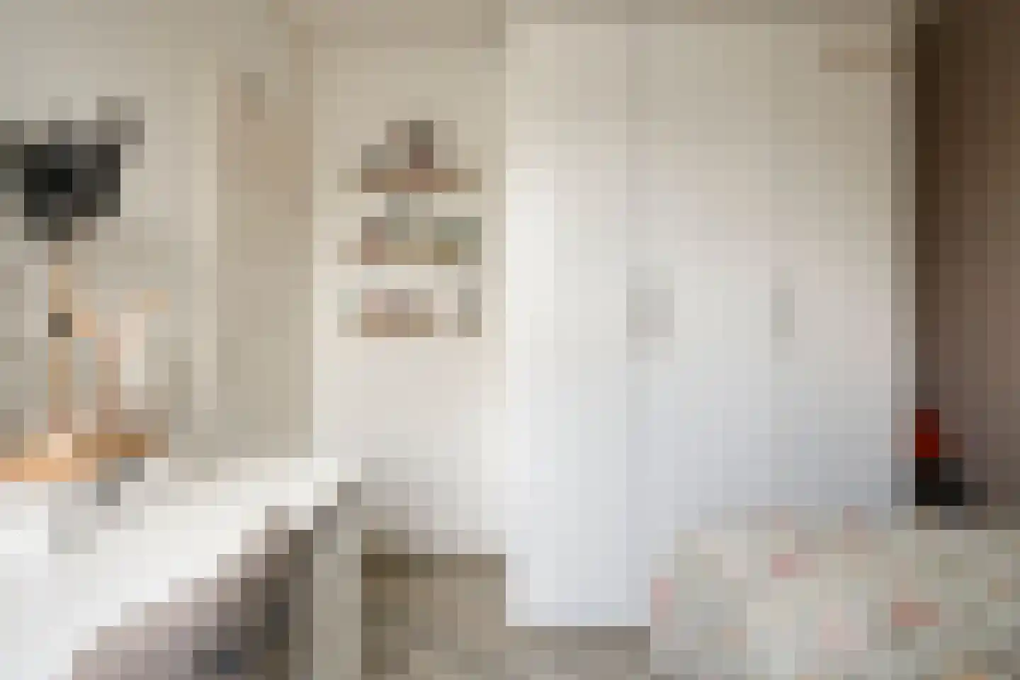 Schapeweide 60 Veghel thumbnail 27