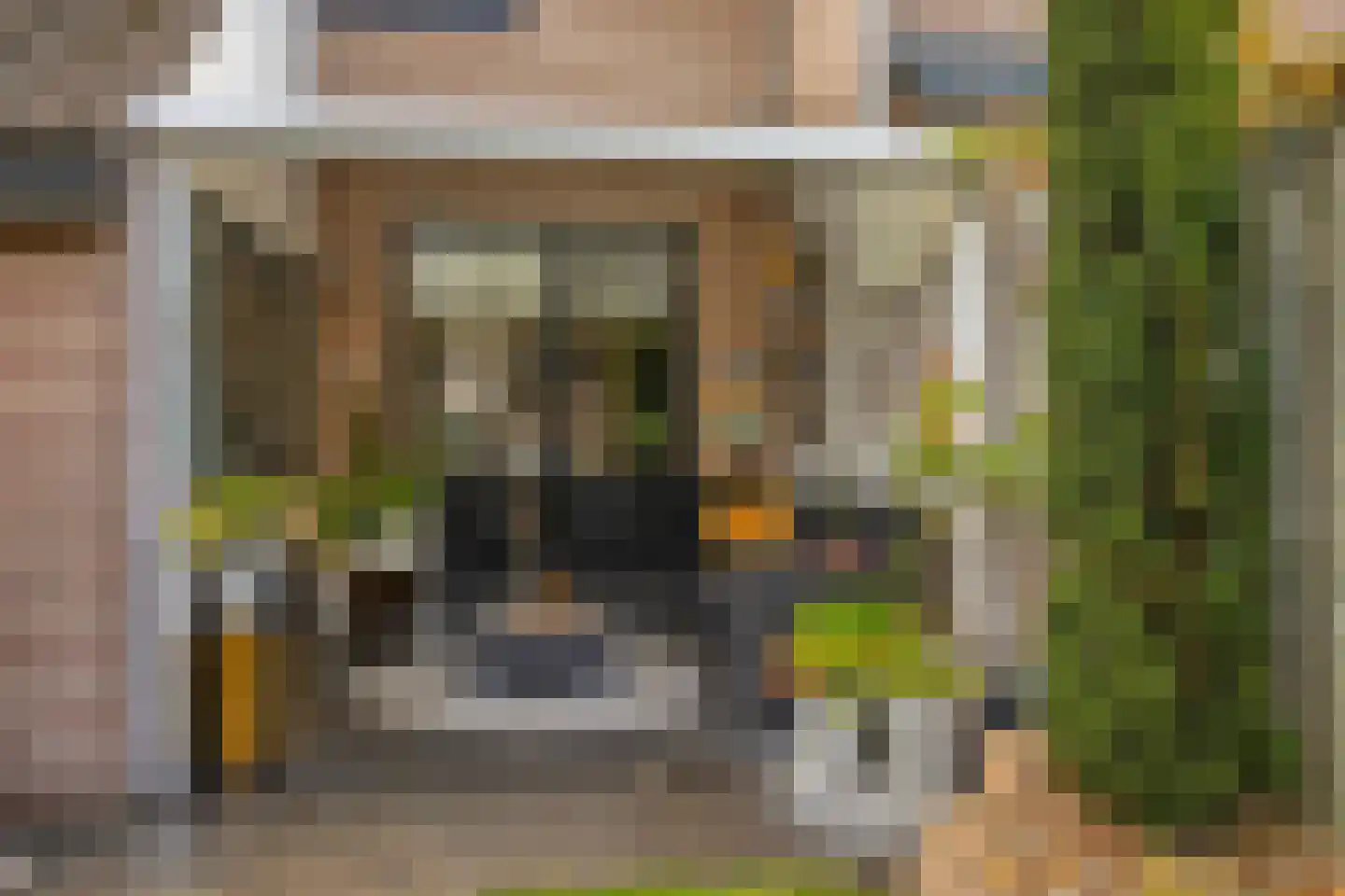 Schapeweide 60 Veghel thumbnail 6