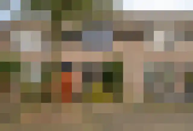 Schapeweide 60 Veghel thumbnail 7