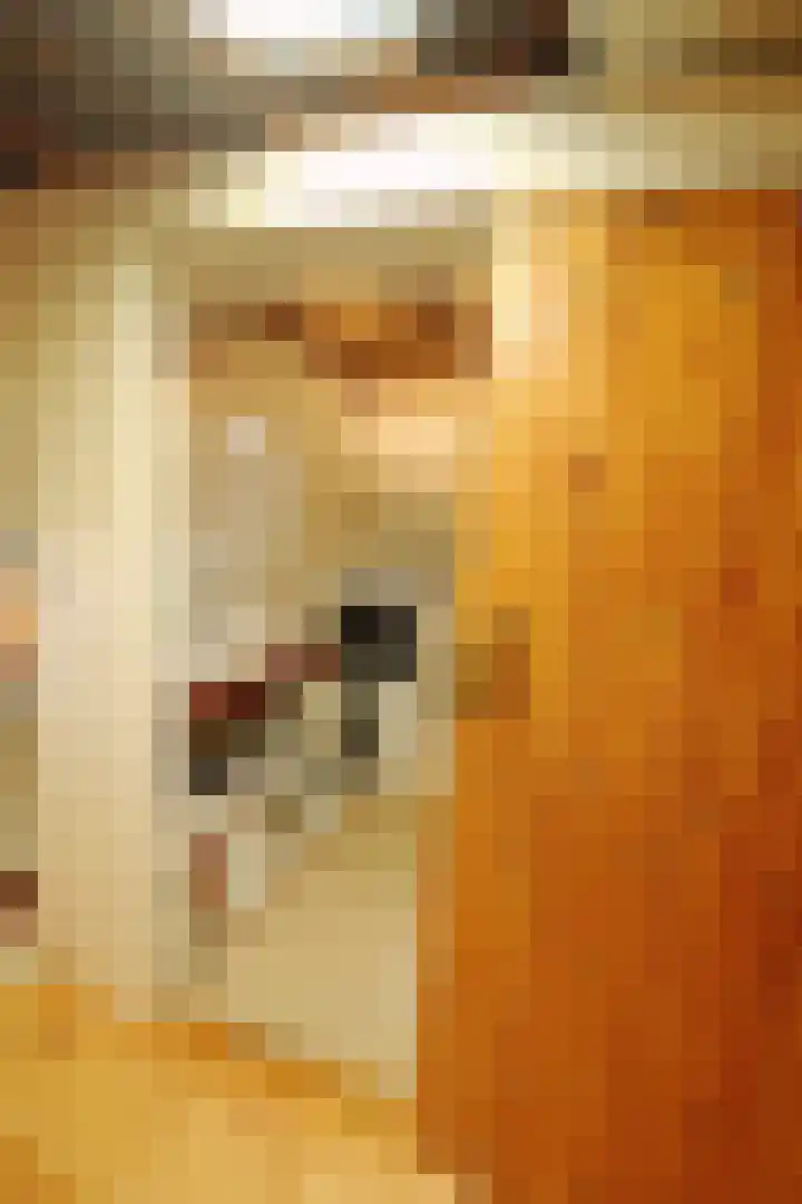 Schaphalsterzijl 4 B Winsum thumbnail 11
