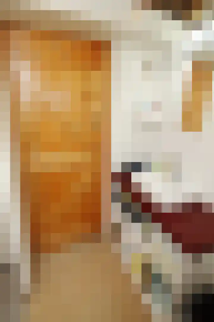 Schaphalsterzijl 4 B Winsum thumbnail 12