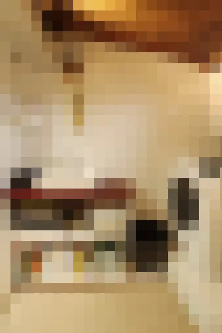 Schaphalsterzijl 4 B Winsum thumbnail 13