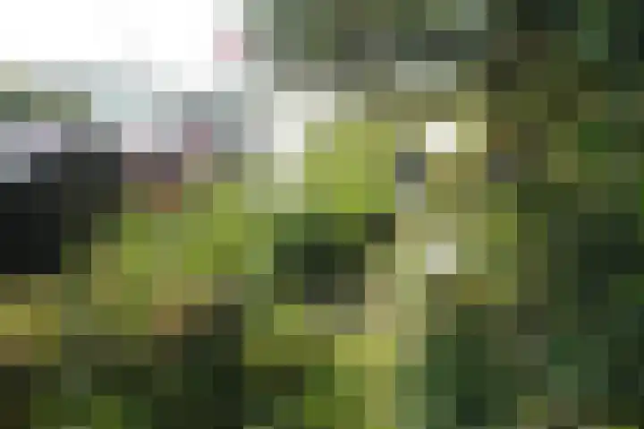 Schaphalsterzijl 4 B Winsum thumbnail 20