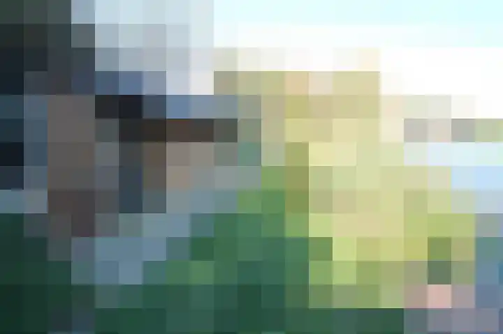 Schaphalsterzijl 4 B Winsum thumbnail 21
