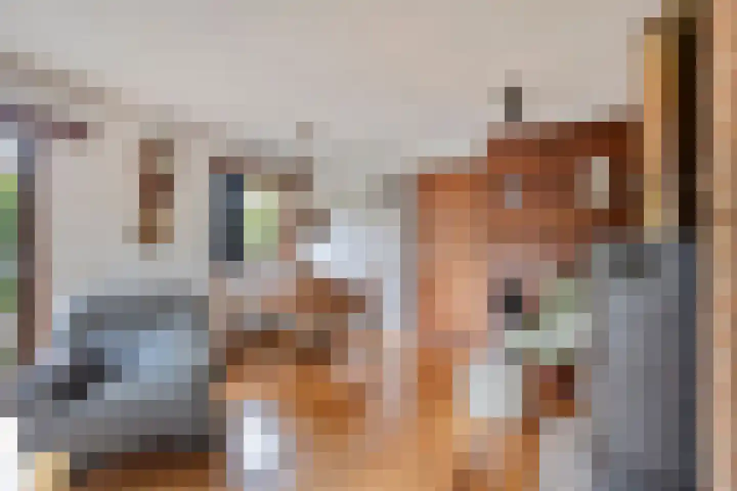 Schardam 24 a Schardam thumbnail 21
