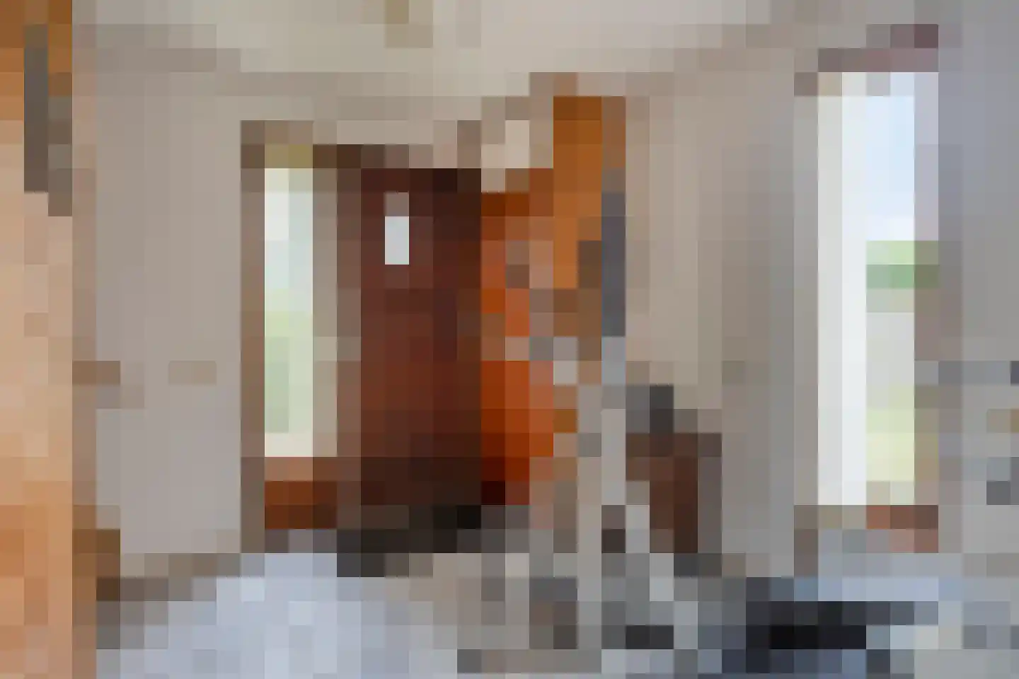 Schardam 24 a Schardam thumbnail 24