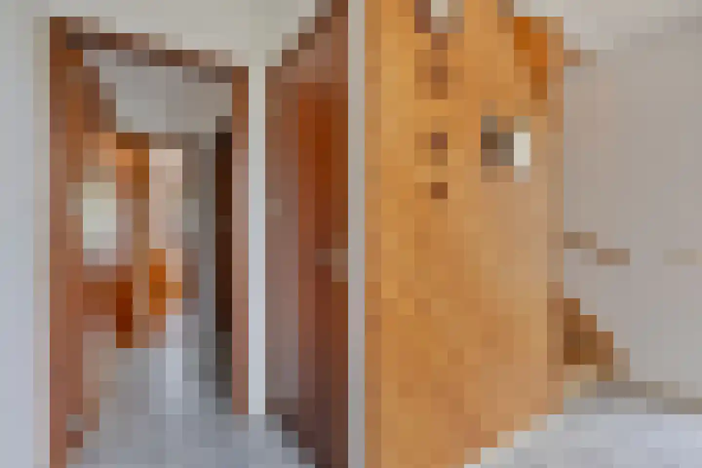 Schardam 24 a Schardam thumbnail 26