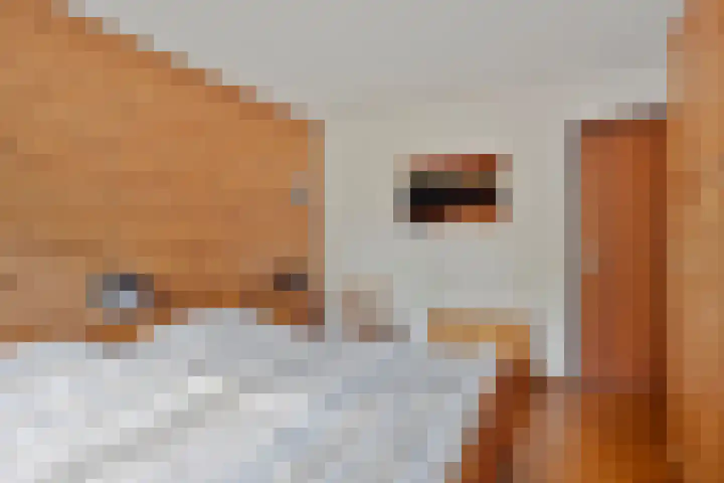 Schardam 24 a Schardam thumbnail 29