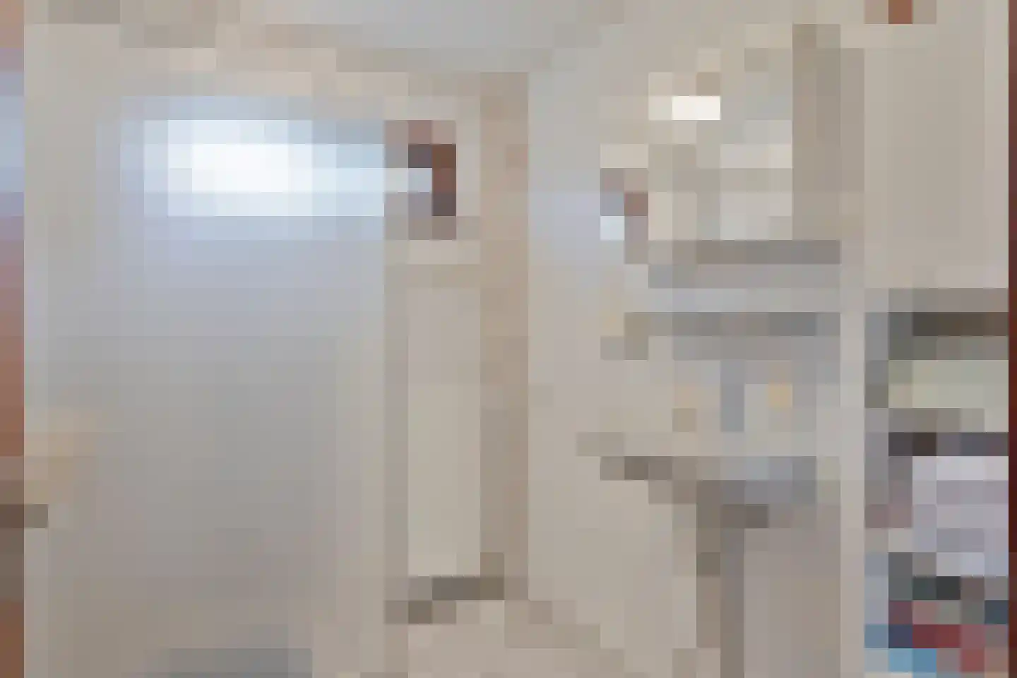 Schardam 24 a Schardam thumbnail 30
