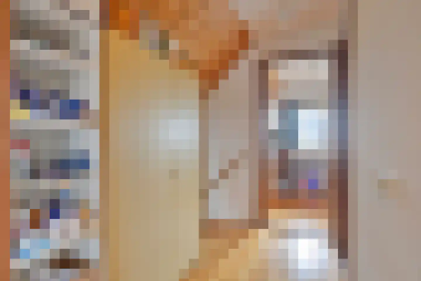 Schardam 24 a Schardam thumbnail 31