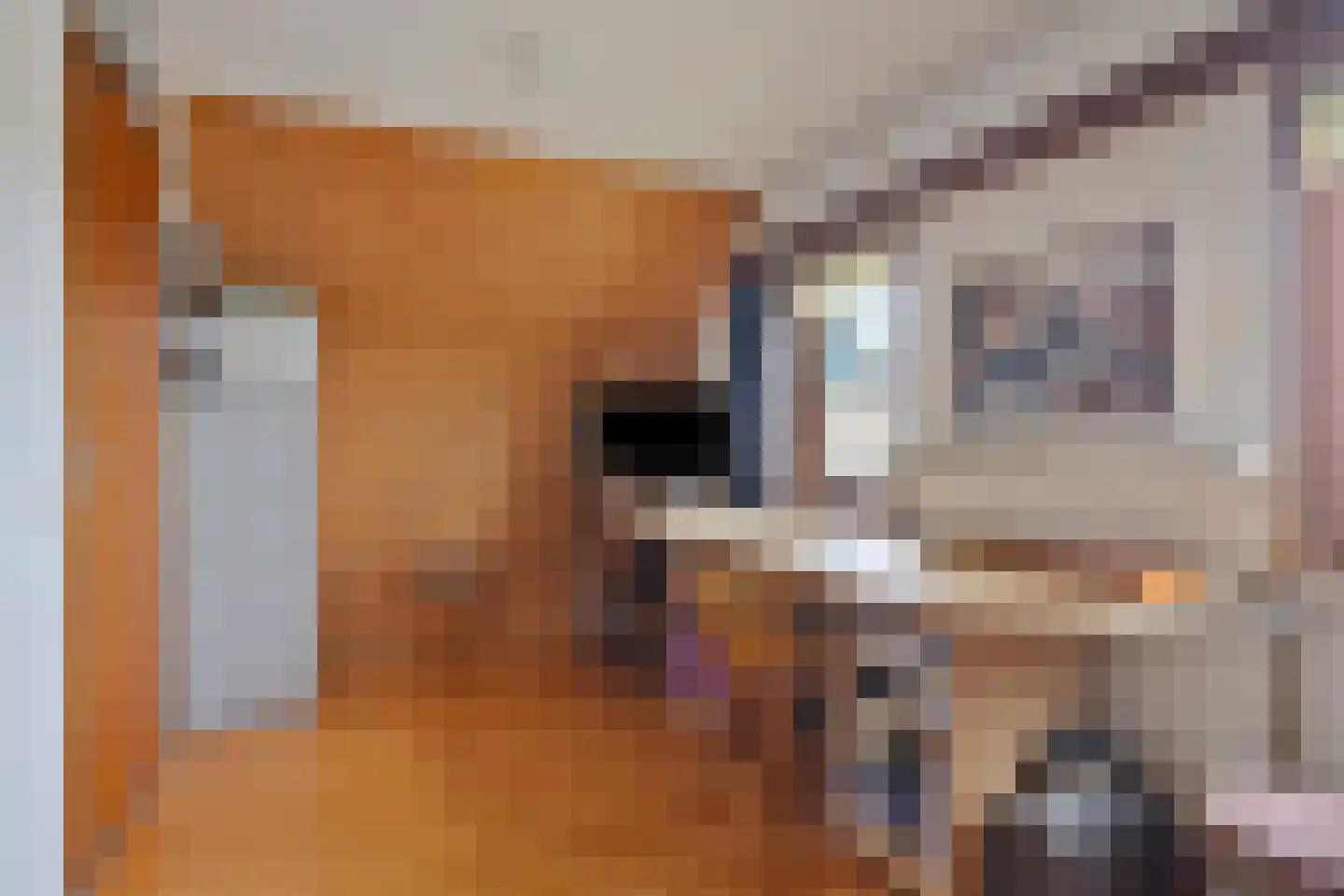 Schardam 24 a Schardam thumbnail 34