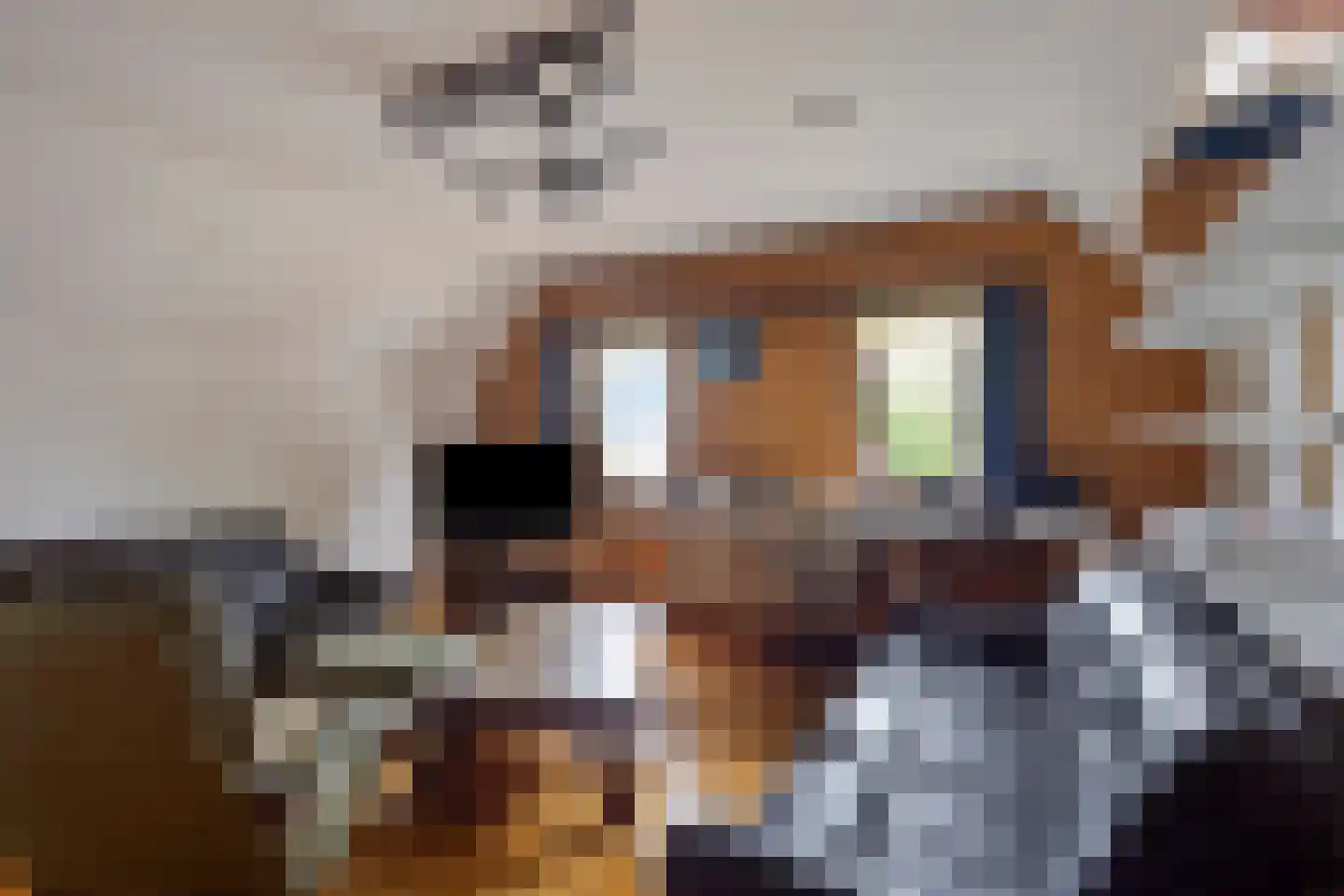 Schardam 24 a Schardam thumbnail 35