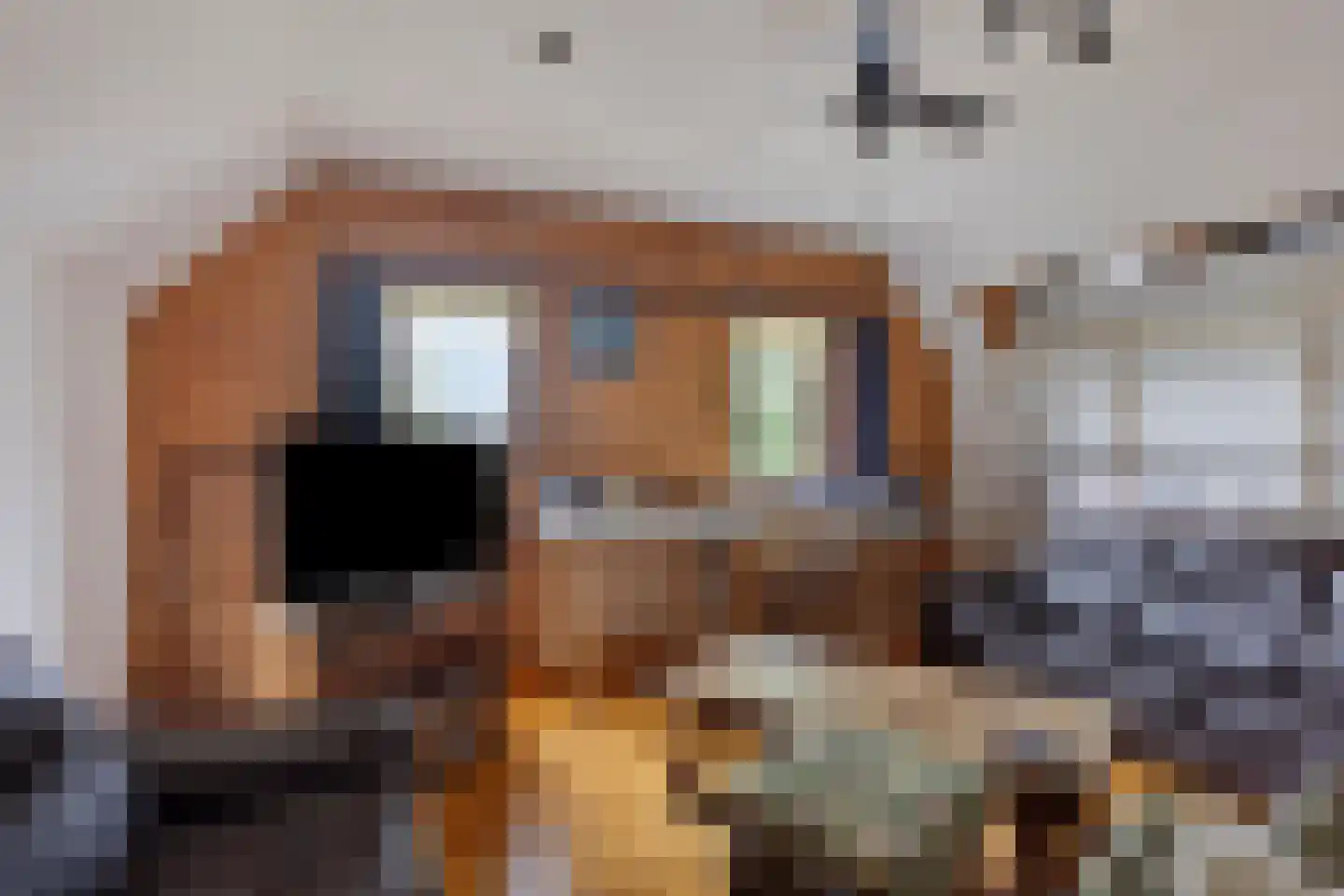 Schardam 24 a Schardam thumbnail 36