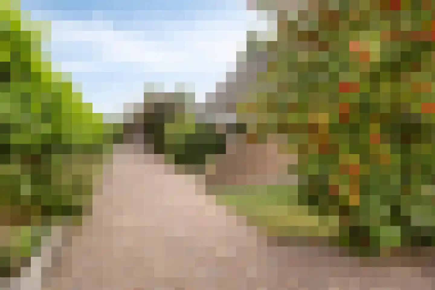 Schardam 24 a Schardam thumbnail 40