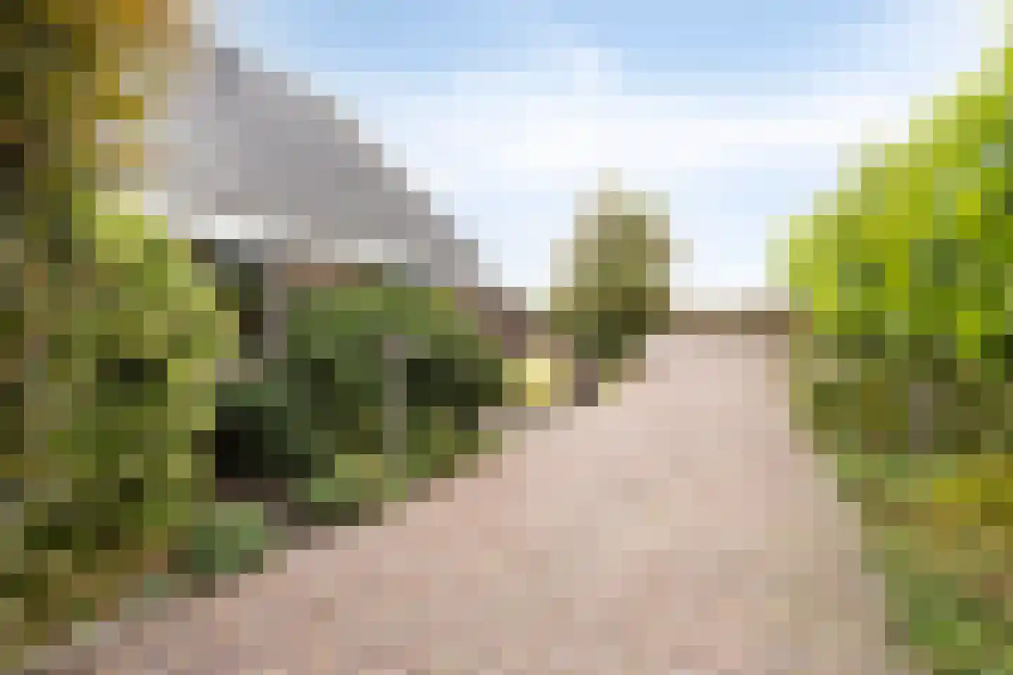 Schardam 24 a Schardam thumbnail 42